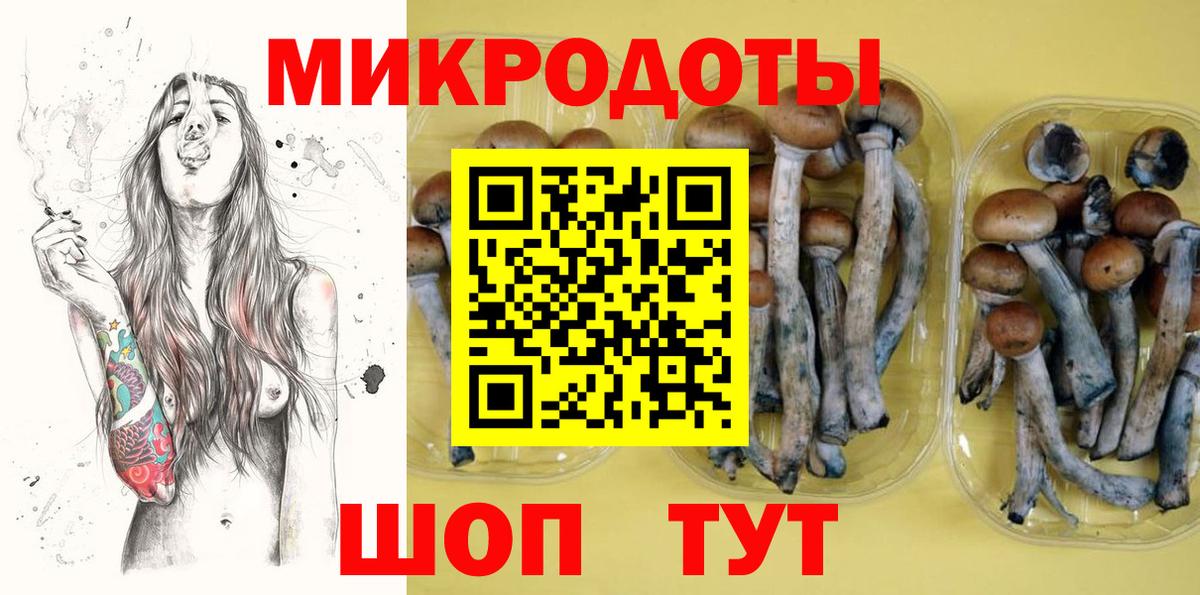 Галлюциногенные грибы Psilocybine cubensis Клинцы